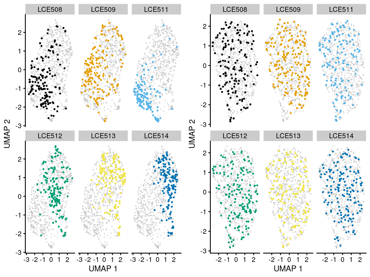 UMAP plot of the dataset. Each point represents a cell and each panel highlights cells from a particular `plate_number` when data is unmerged (left) and merged by manual merge 2 (right).