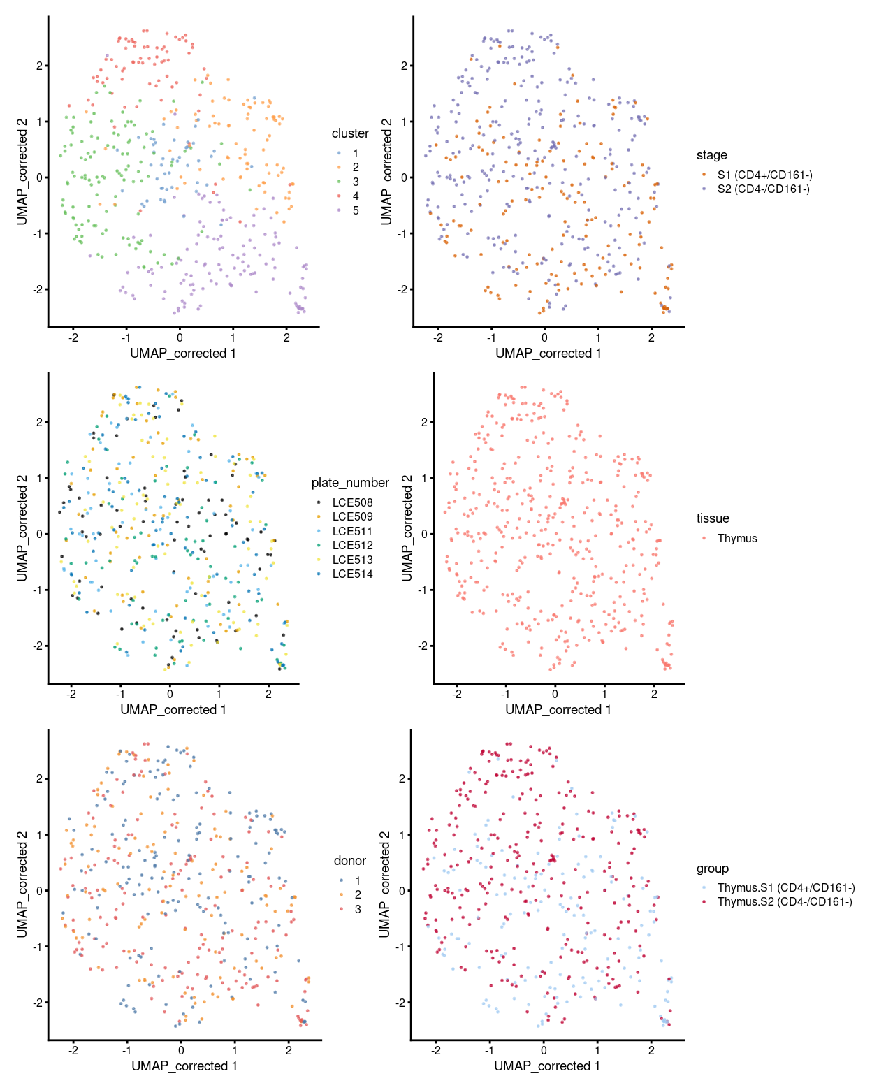 UMAP plot, where each point represents a cell and is coloured according to the legend.