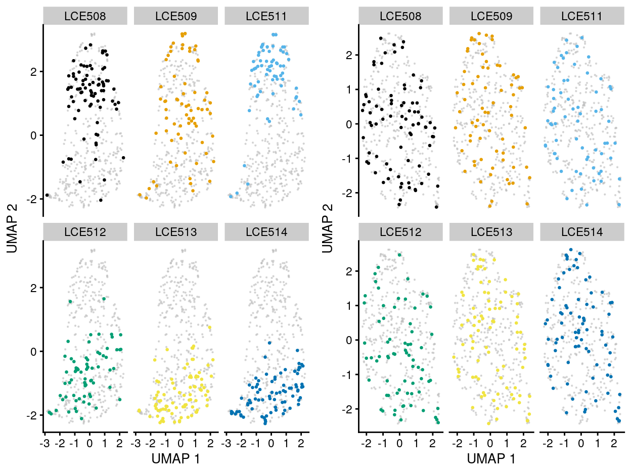 UMAP plot of the dataset. Each point represents a cell and each panel highlights cells from a particular `plate_number` when data is unmerged (left) and merged by manual merge 2 (right).