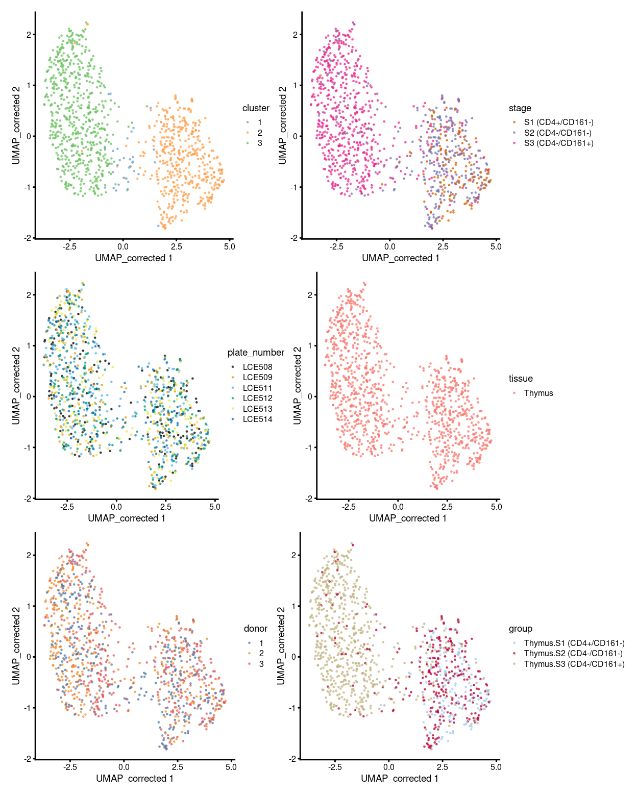 UMAP plot, where each point represents a cell and is coloured according to the legend.