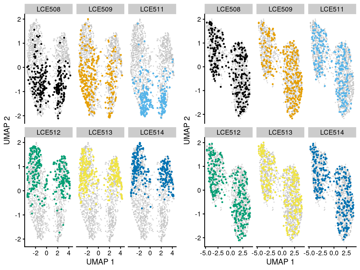 UMAP plot of the dataset. Each point represents a cell and each panel highlights cells from a particular `plate_number` when data is unmerged (left) and merged by manual merge 2 (right).